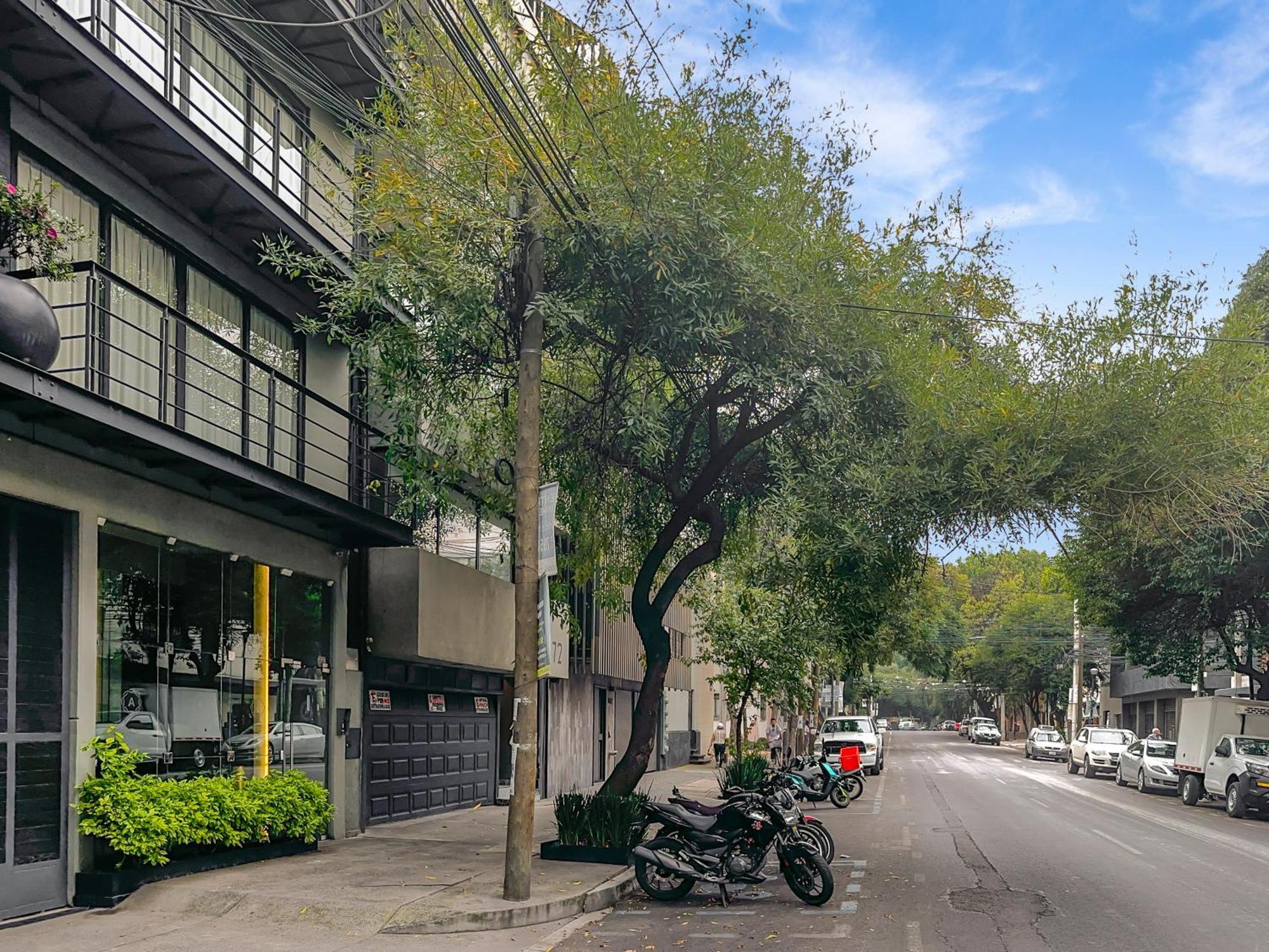 Armonik Suites By Casanevo Città del Messico Esterno foto